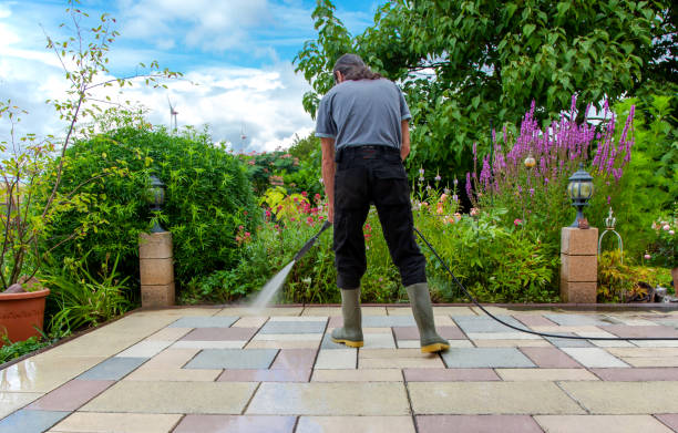 Best Fence Cleaning  in Ball Pond, CT